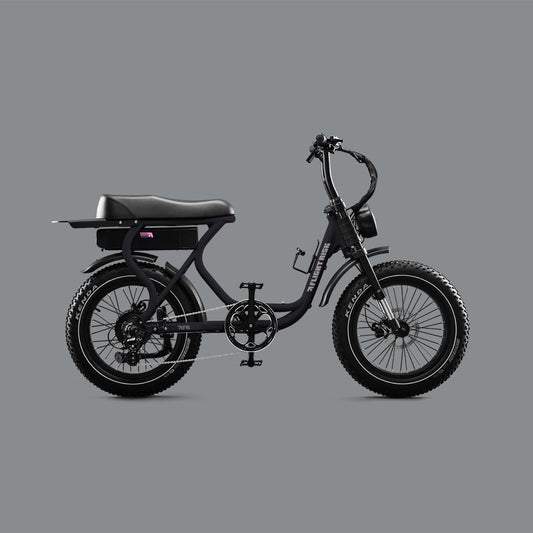 Black e-bike for sale in Australia - The FR303 from Flight Risk