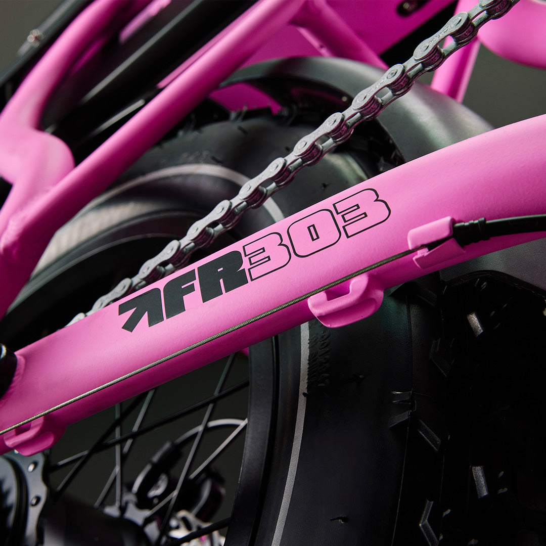 E-bike Models from Flight Risk Australia