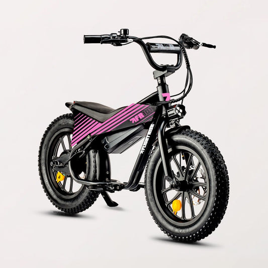 Application FR101 Decal